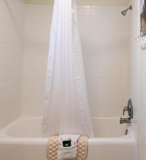 شقة غرفة واحدة, Swiss Alps Inn