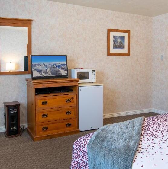 غرفة قياسية فردية سرير كينج, Swiss Alps Inn