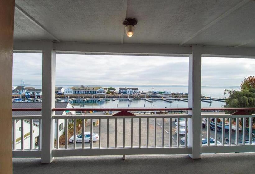 جناح دور أخير, The Swan