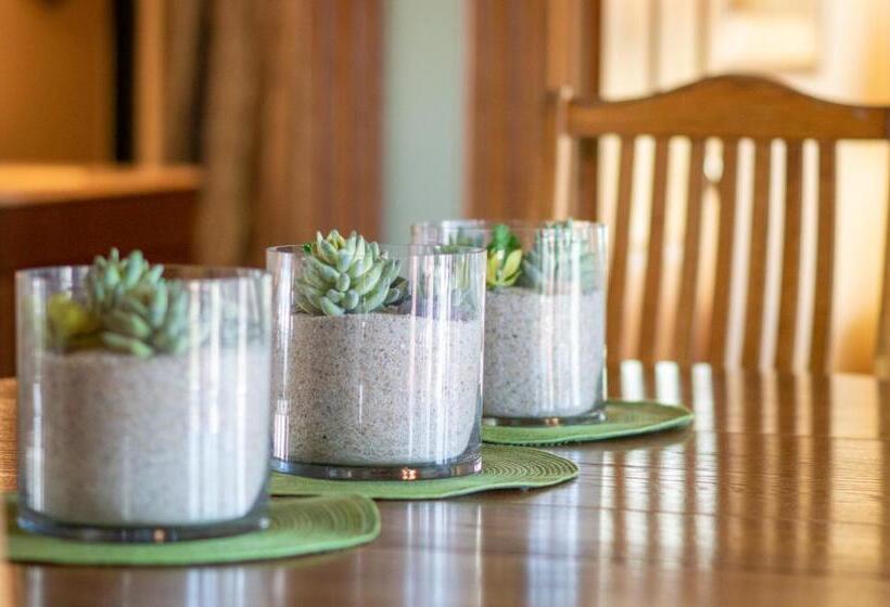 جناح دور أخير, The Swan