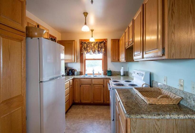 جناح دور أخير, The Swan