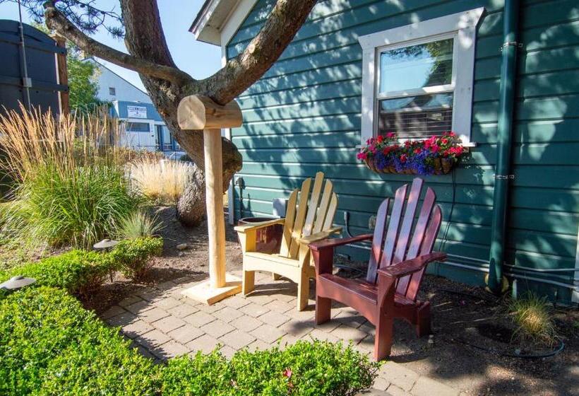 كابينة, The Swan