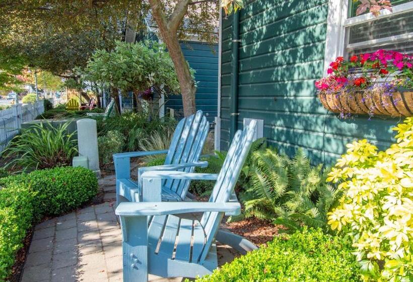 كابينة, The Swan