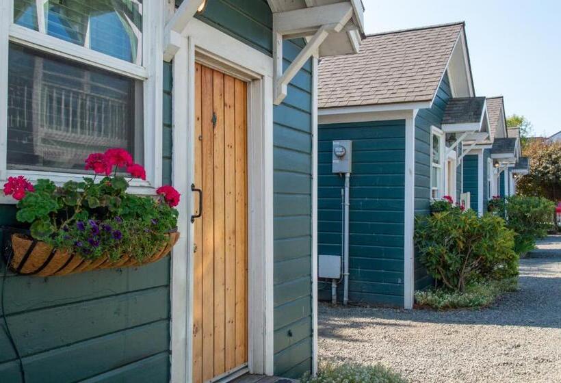 كابينة, The Swan