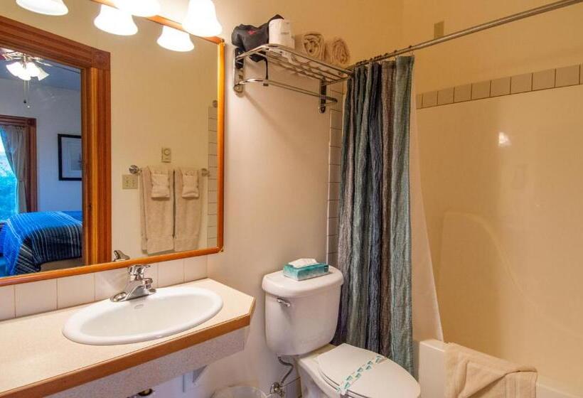 إستوديو قياسى سرير كينج, The Swan