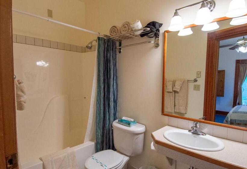 إستوديو قياسى, The Swan