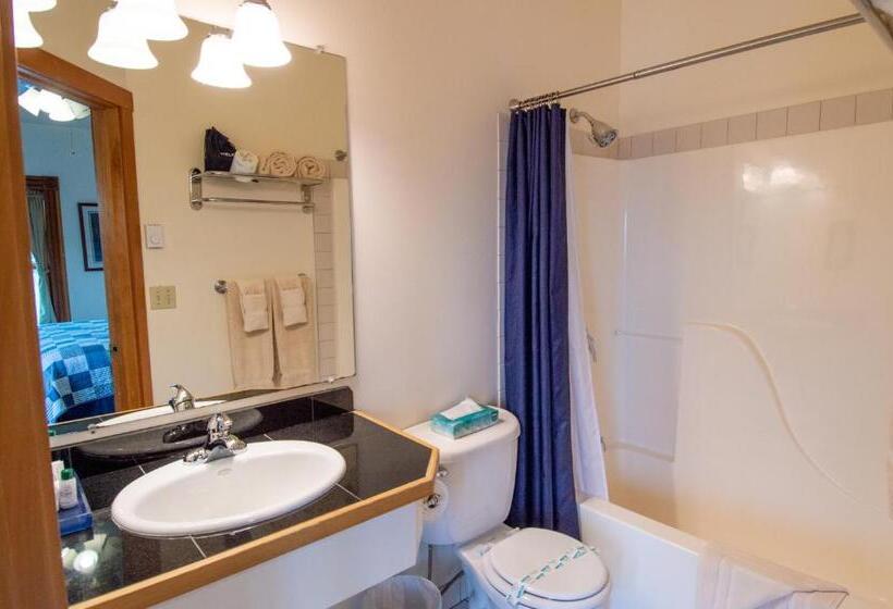 إستوديو ديلوكس, The Swan