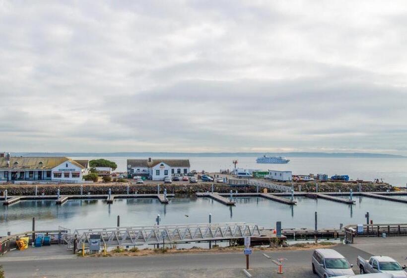 جناح دور أخير, The Swan