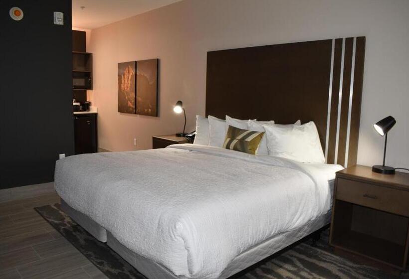 إستديو عائلى, Zion Canyon Lodge