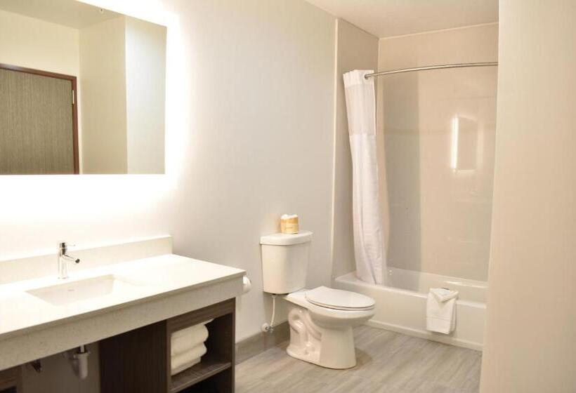 إستديو عائلى, Zion Canyon Lodge