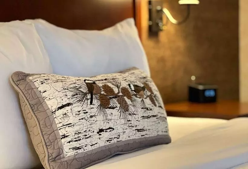 اتاق لوکس, Maine Evergreen Hotel, Ascend Hotel Collection