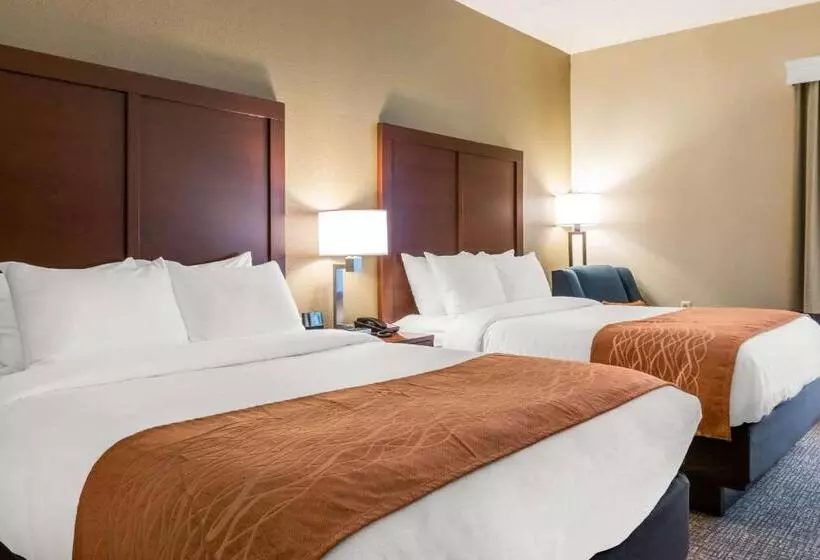スタンダードルーム, Comfort Inn