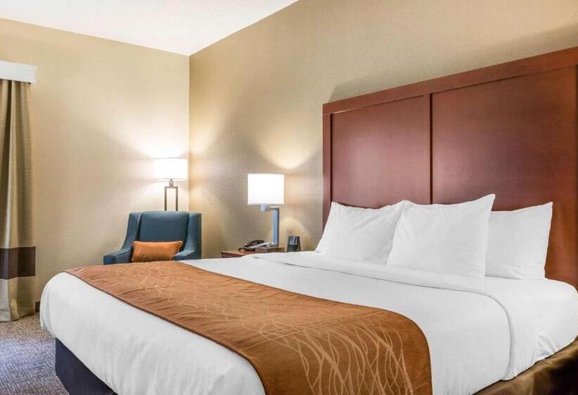 غرفة قياسية سرير كينج, Comfort Inn