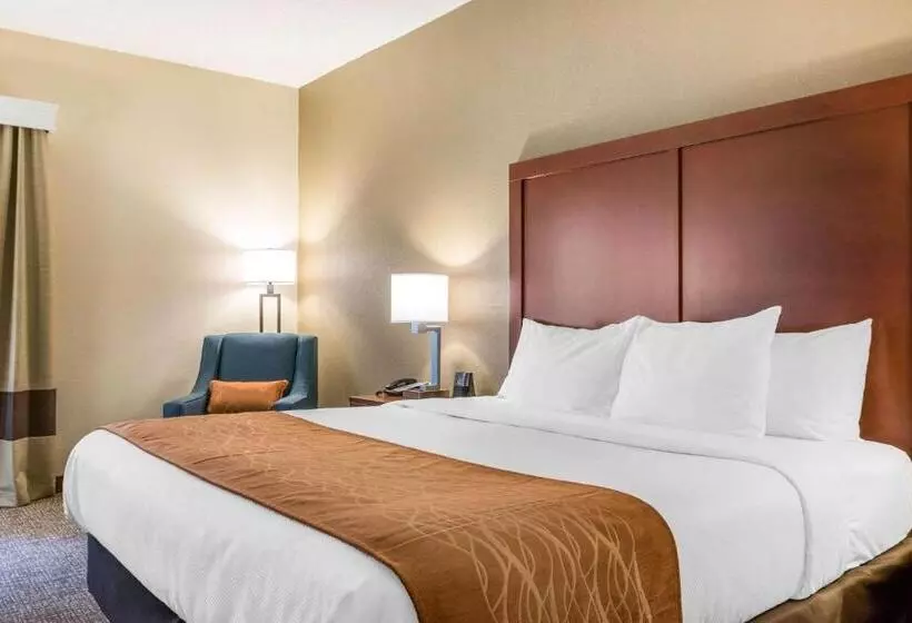 キングサイズベッドのスタンダードルーム, Comfort Inn