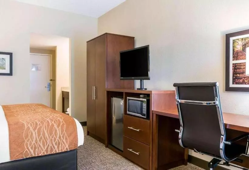 キングサイズベッドのスタンダードルーム, Comfort Inn