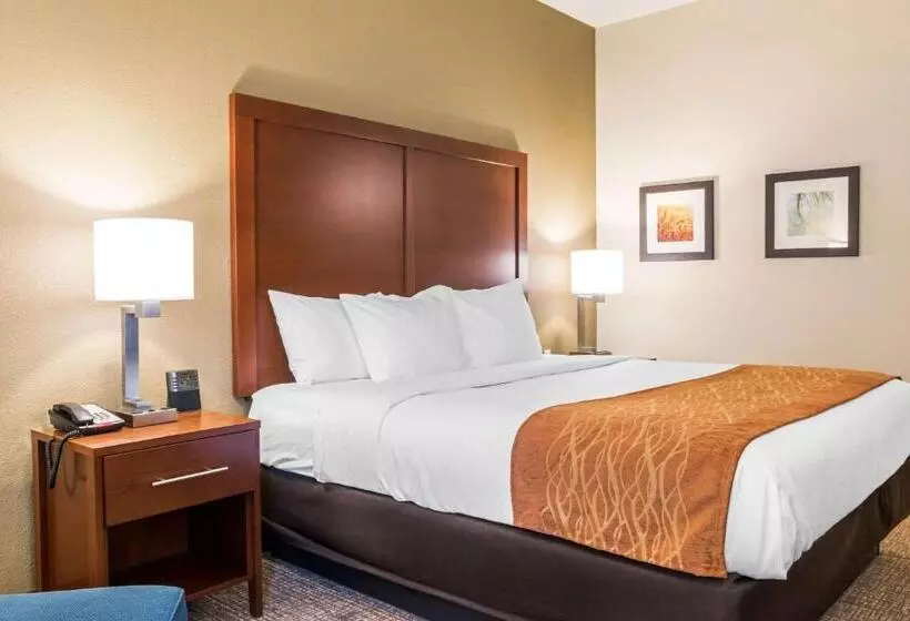キングサイズベッドのスタンダードルーム, Comfort Inn
