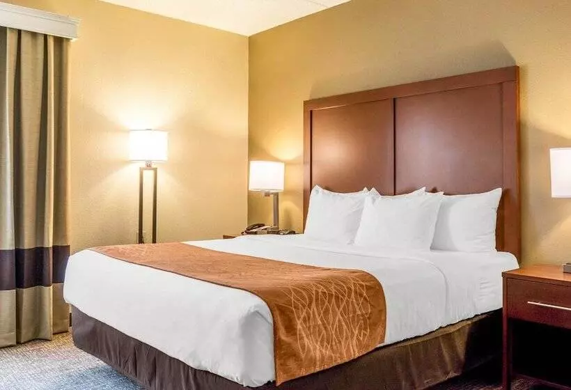 身障者適用スイートルーム, Comfort Inn