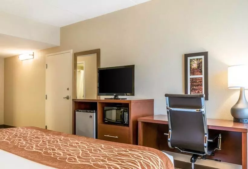 身障者適用スイートルーム, Comfort Inn