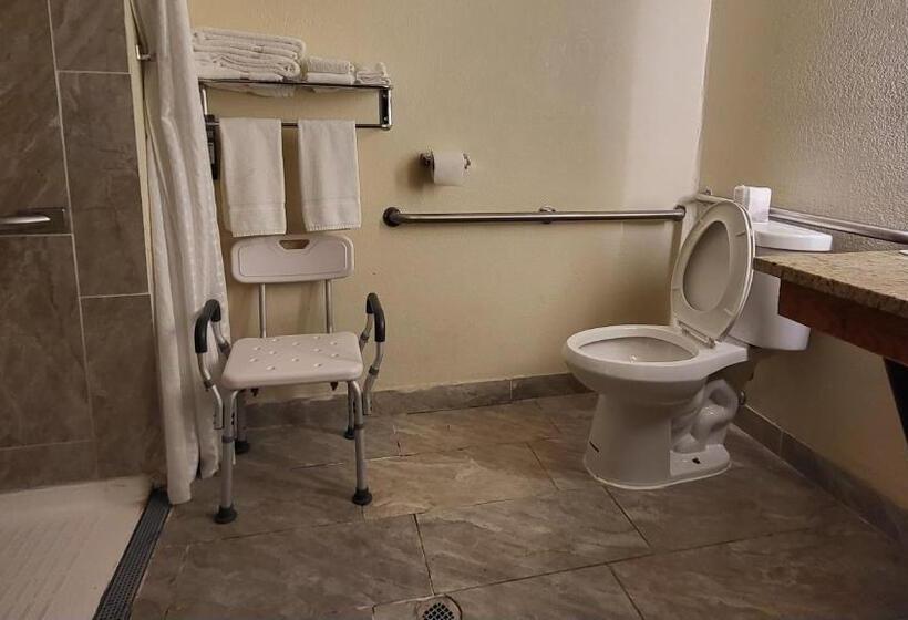 غرفة قياسية لذوى الاحتياجات الخاصة, Super 8 By Wyndham Canton/livonia Area