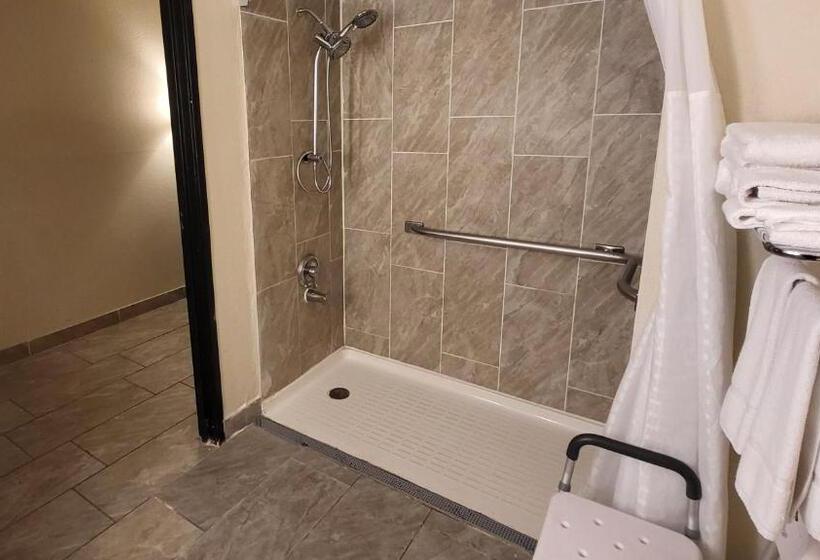 Номер Стандарт Адаптированный для Инвалидов, Super 8 By Wyndham Canton/livonia Area