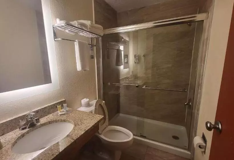 キングサイズベッドのスタンダードルーム, Super 8 By Wyndham Canton/livonia Area