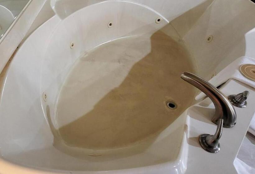 إستوديو ديلوكس, Super 8 By Wyndham Canton/livonia Area