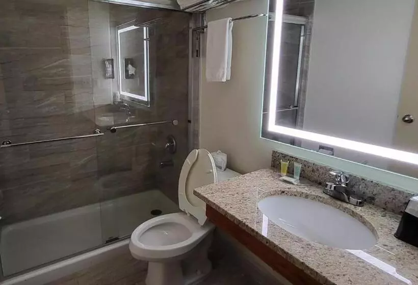 スタンダードルーム, Super 8 By Wyndham Canton/livonia Area