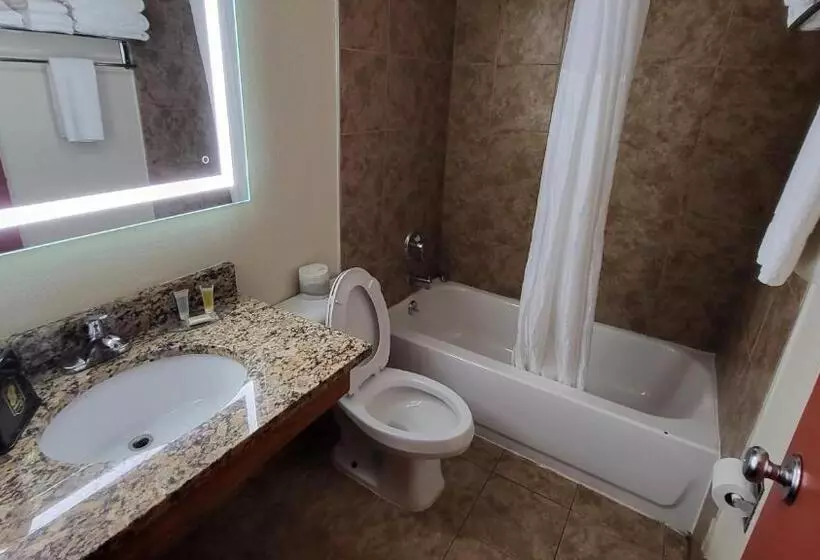 デラックスルーム, Super 8 By Wyndham Canton/livonia Area