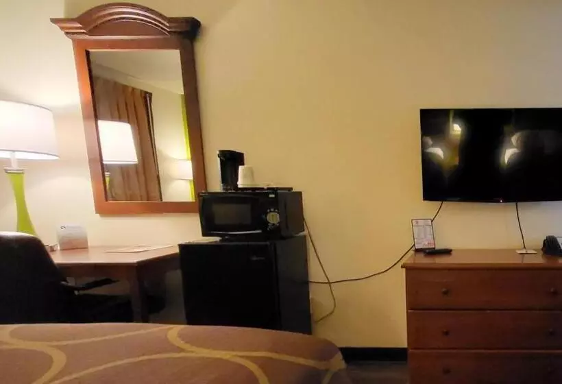 デラックスルーム, Super 8 By Wyndham Canton/livonia Area