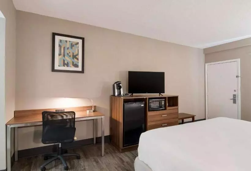 キングサイズベッドのスタンダードルーム, Surestay Hotel By Best Western Helen Downtown