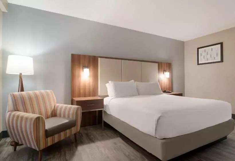 キングサイズベッドのスタンダードルーム, Surestay Hotel By Best Western Helen Downtown