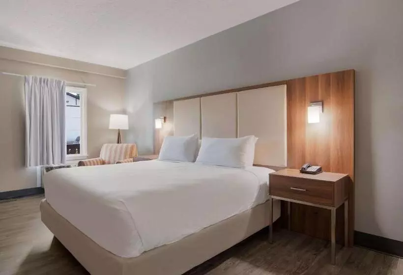 キングサイズベッドのスタンダードルーム, Surestay Hotel By Best Western Helen Downtown