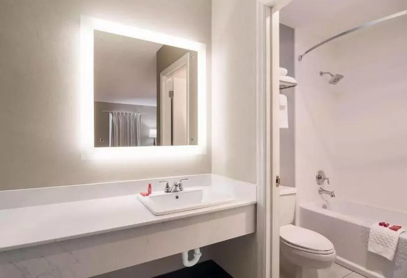 ２ダブルベッドのスタンダードルーム, Surestay Hotel By Best Western Helen Downtown