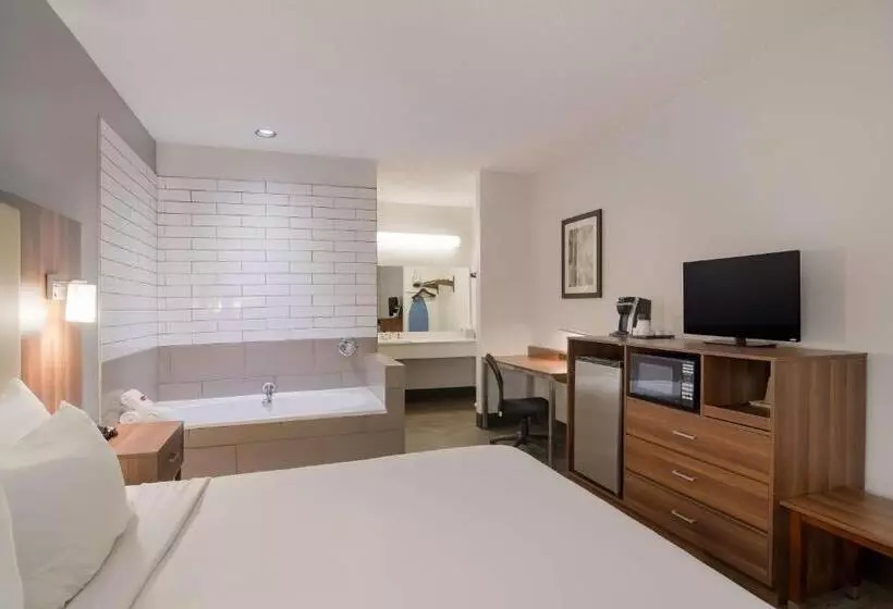 キングサイズベッドのスイートルーム, Surestay Hotel By Best Western Helen Downtown