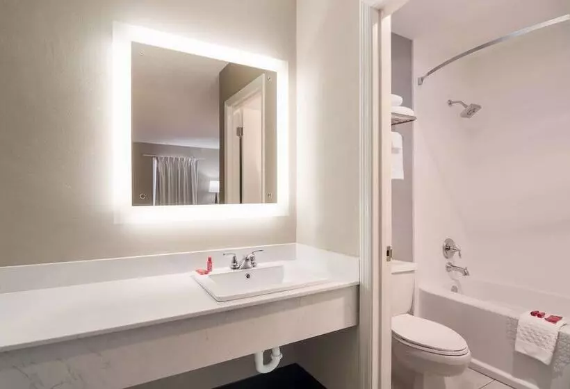 ２ダブルベッドのスタンダードルーム, Surestay Hotel By Best Western Helen Downtown