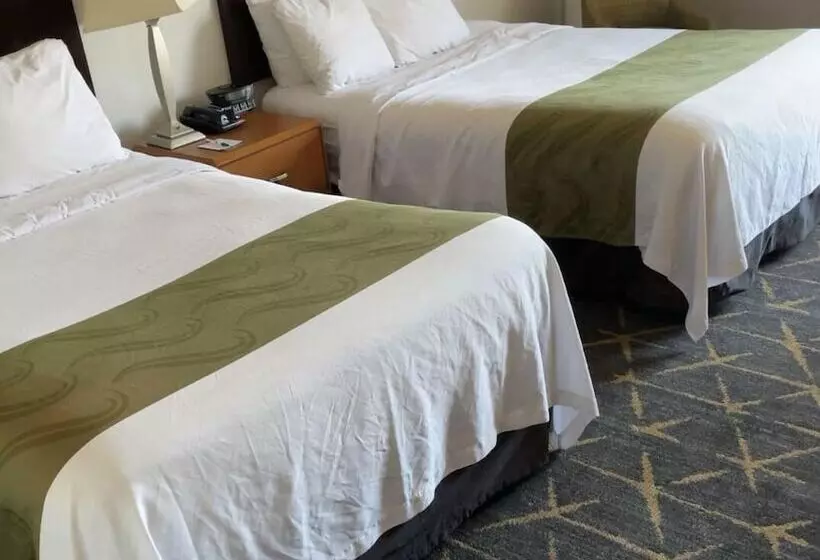 ２ダブルベッドのスタンダードルーム, Quality Inn Spring Valleynanuet