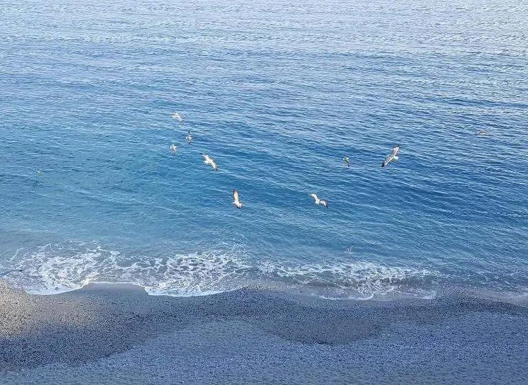 اتاق لوکس با چشمانداز دریا, La Terrazza Sul Mare Affittacamere