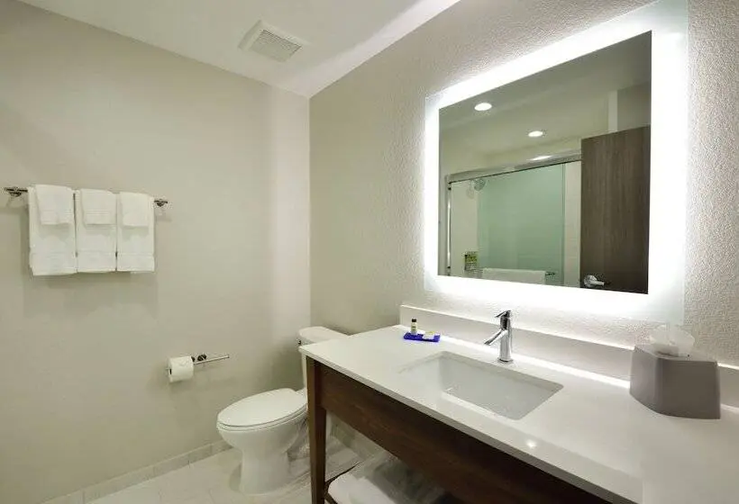 スタンダードルーム, Holiday Inn Express & Suites Spring   Woodlands Area, An Ihg