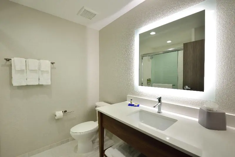 キングサイズベッドのスイートルーム, Holiday Inn Express & Suites Spring   Woodlands Area, An Ihg