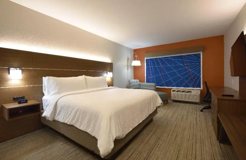 身障者適用キングサイズベッドルーム, Holiday Inn Express & Suites Spring   Woodlands Area, An Ihg