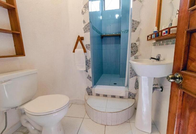 اتاق خانوادگی, Casa Blanca