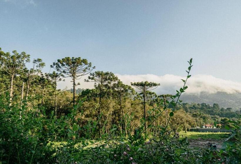 اتاق استاندارد با وان آب گرم, Flores Da Mantiqueira