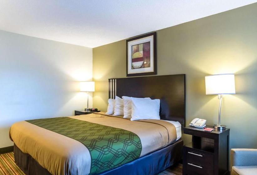 스탠다드 룸 킹사이즈 침대, Fairbridge Inn Express