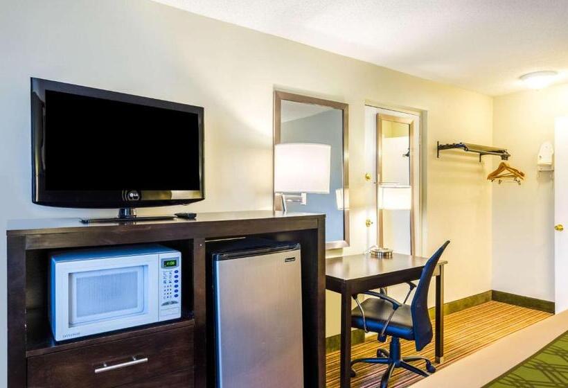 스탠다드 룸 킹사이즈 침대, Fairbridge Inn Express