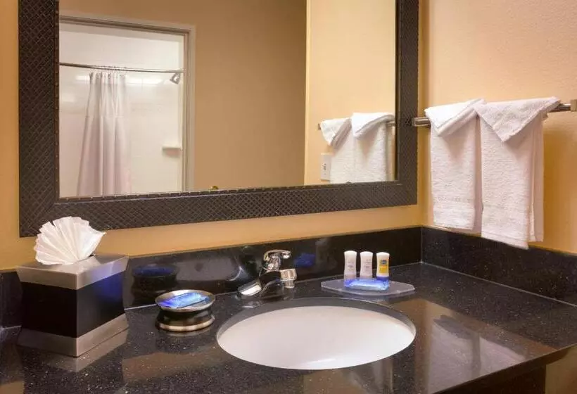 キングサイズベッドのスタンダードルーム, Fairfield Inn Salt Lake City Draper