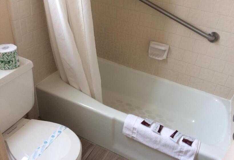 ２ダブルベッドのスタンダードルーム, Torch Lite Lodge