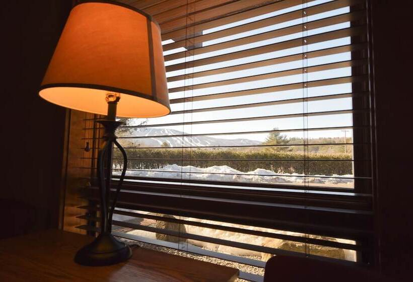 Апартаменты Ejecutiva 2 Спальни, Timber Inn Motel