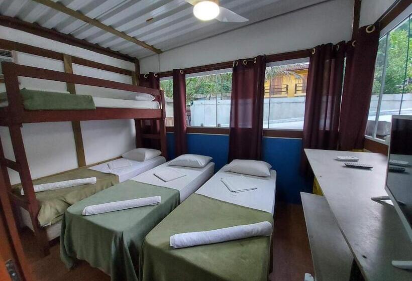 四人标准间, Tree Park Cambury