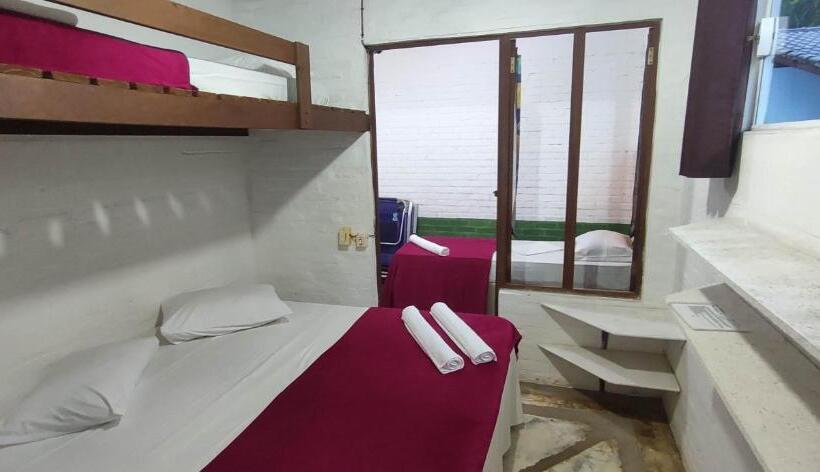 四人标准间, Tree Park Cambury