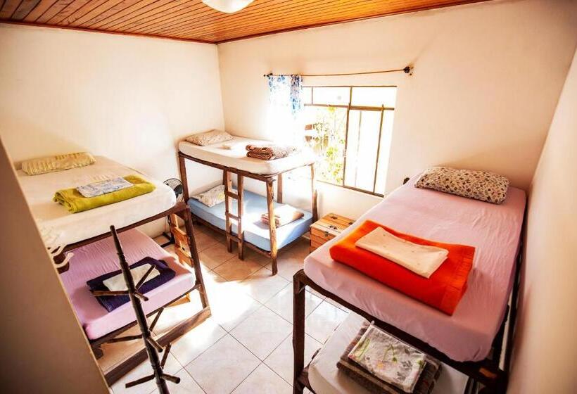 מיטה בחדר משותף, Ecohostel Dos Canyons Santa Catarina